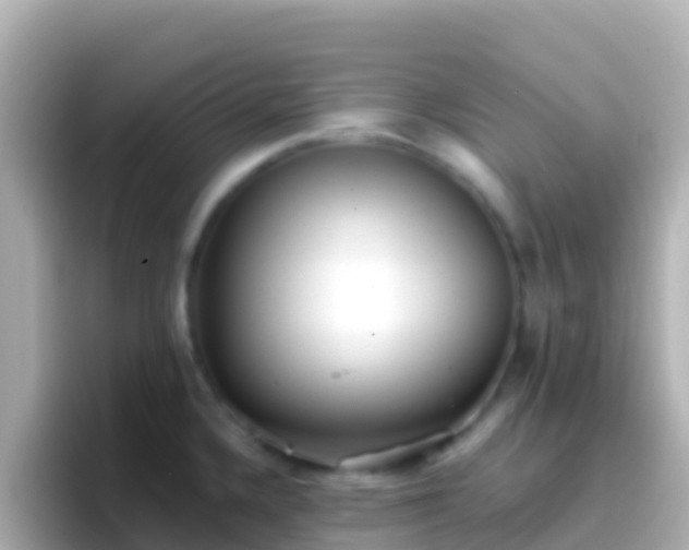 X0000096691336200802121224