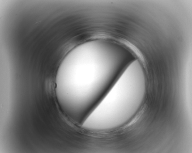 X0000096691337200802121224