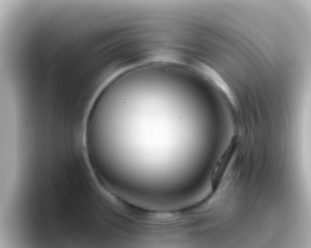 X0000096691339200802121224