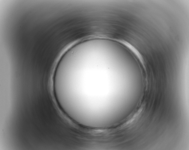 X0000096691341200802121224