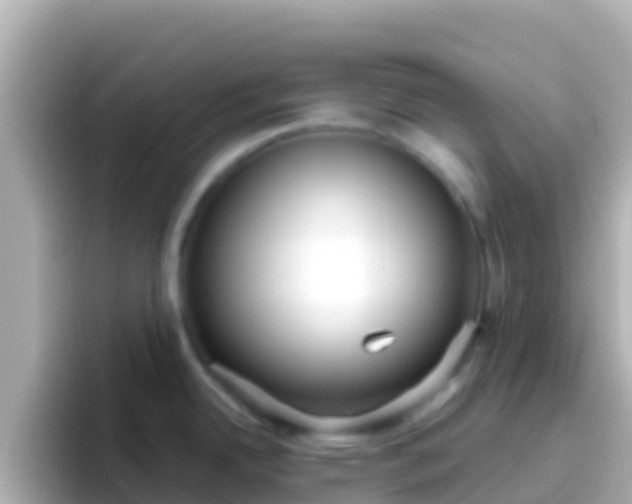 X0000096691342200802121224