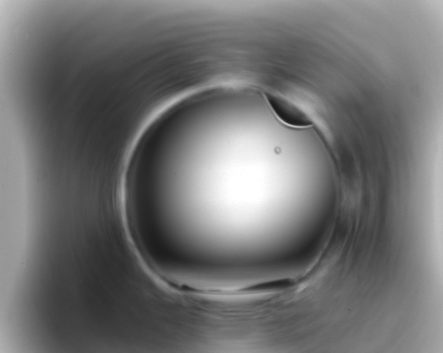 X0000096691343200802121224