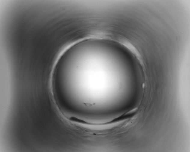 X0000096691344200802121224