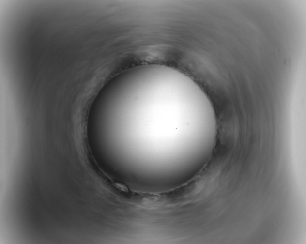 X0000096691345200802121224