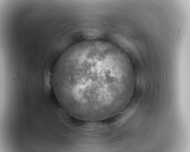 X0000096691346200802121224