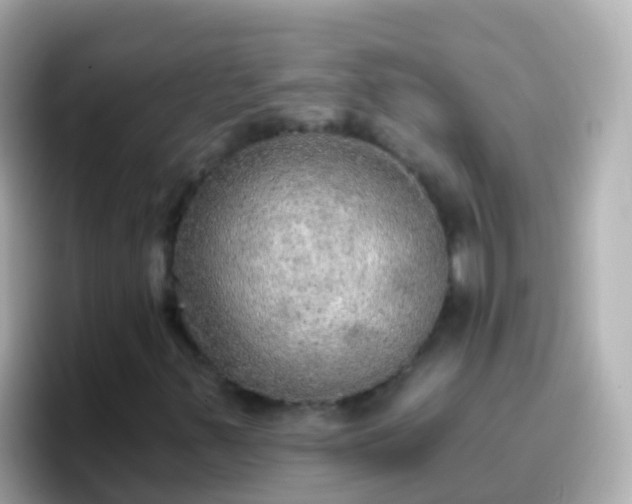 X0000096691347200802121224