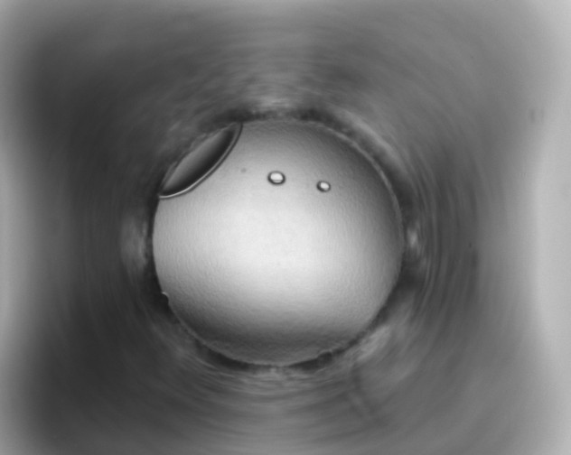 X0000096691348200802121224