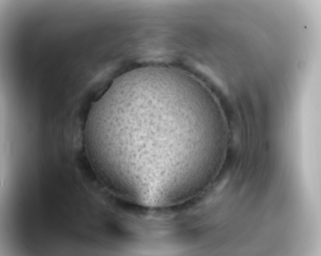 X0000096691350200802121224