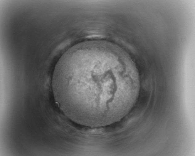 X0000096691351200802121224