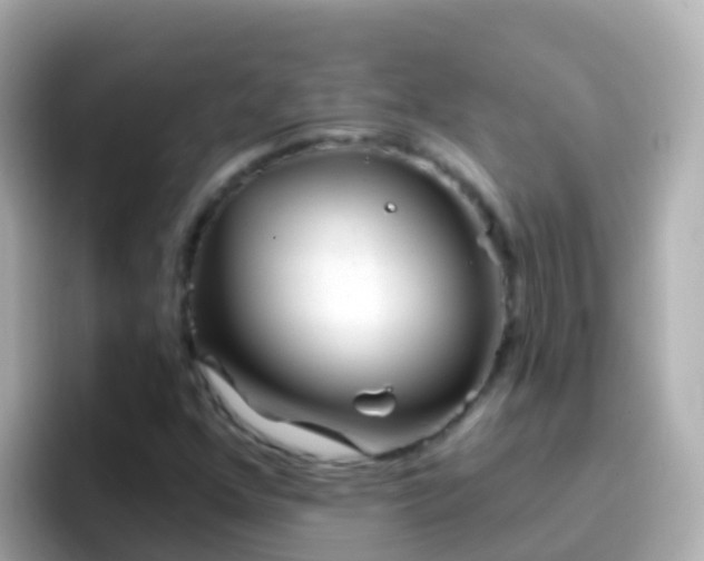 X0000096691352200802121224