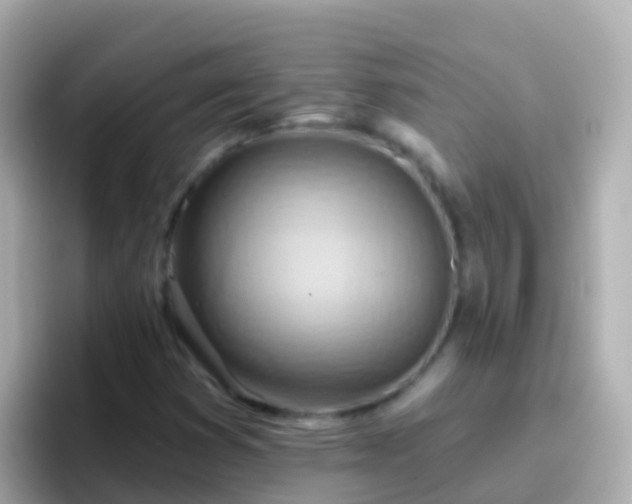 X0000096691353200802121224