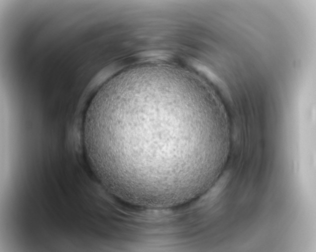 X0000096691354200802121224