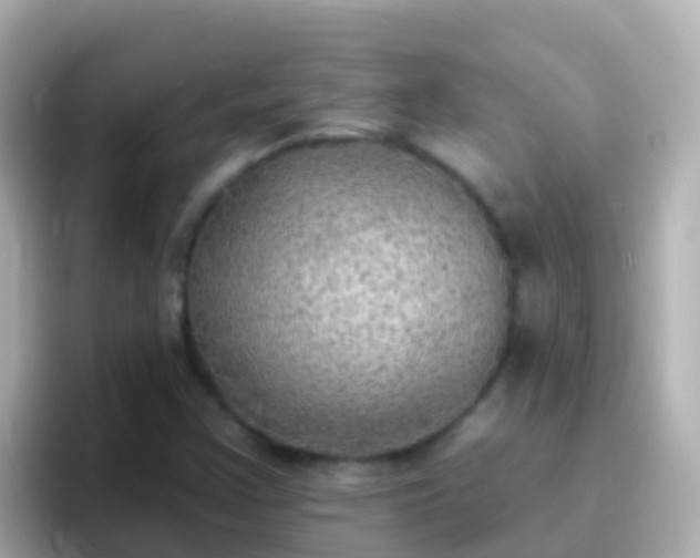 X0000096691355200802121224