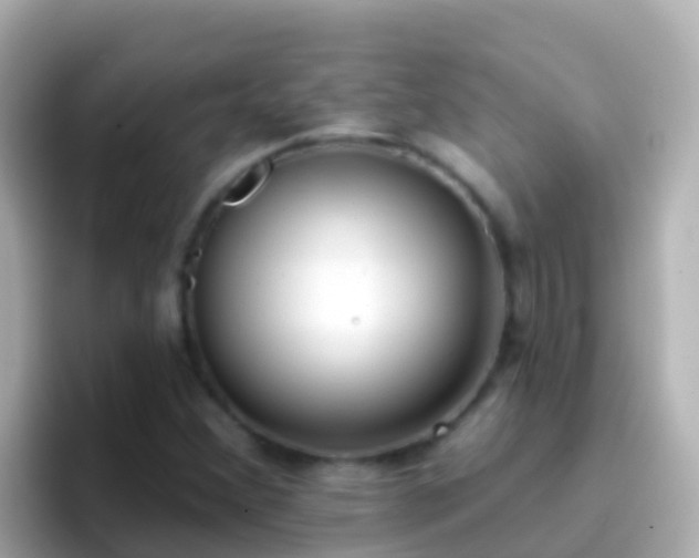 X0000096691356200802121224