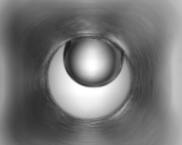 X0000096691357200802121224