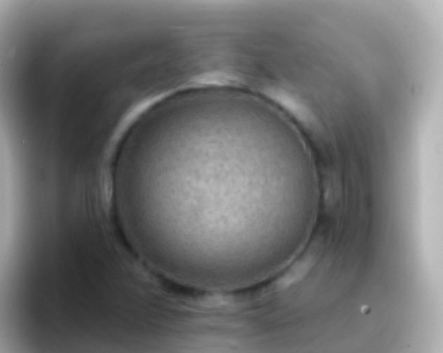 X0000096691358200802121224