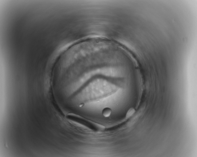 X0000096691359200802121224