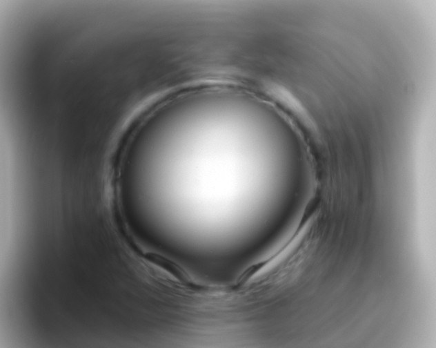 X0000096691360200802121224