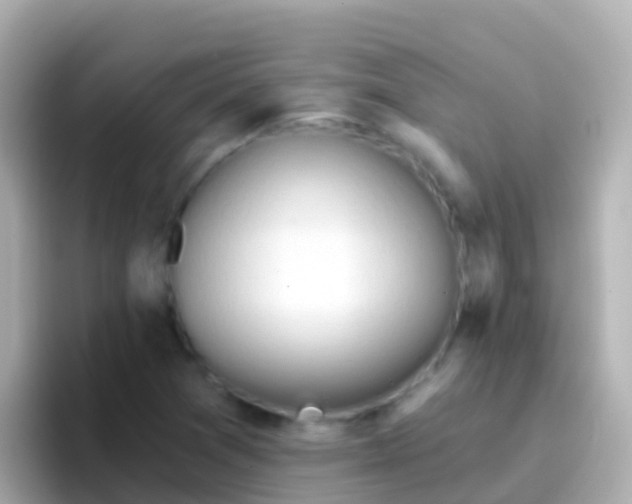 X0000096691361200802121224