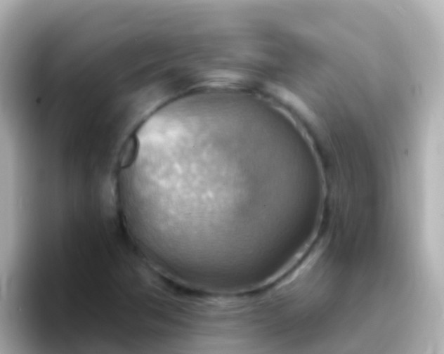 X0000096691362200802121224