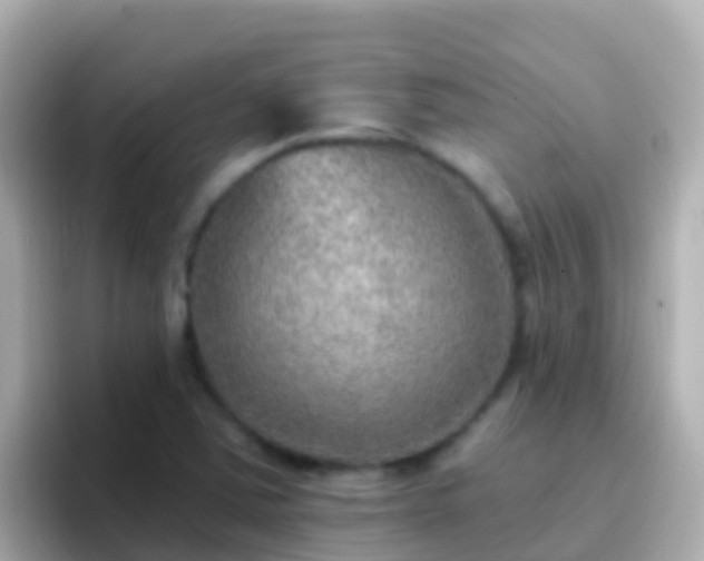 X0000096691363200802121224