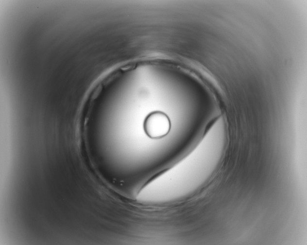 X0000096691364200802121223