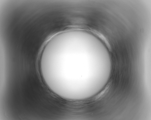 X0000096691365200802121223