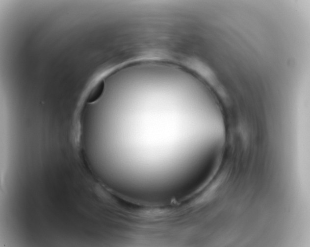 X0000096691366200802121223