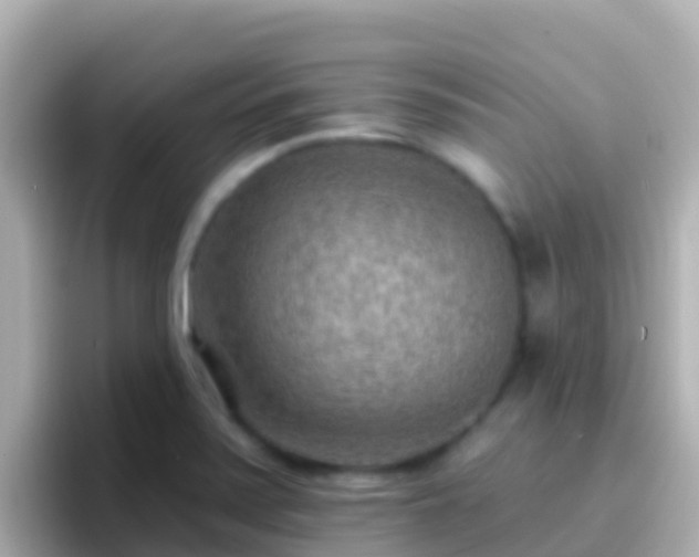 X0000096691371200802121223