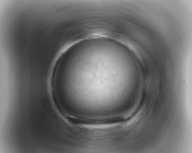 X0000096691373200802121223