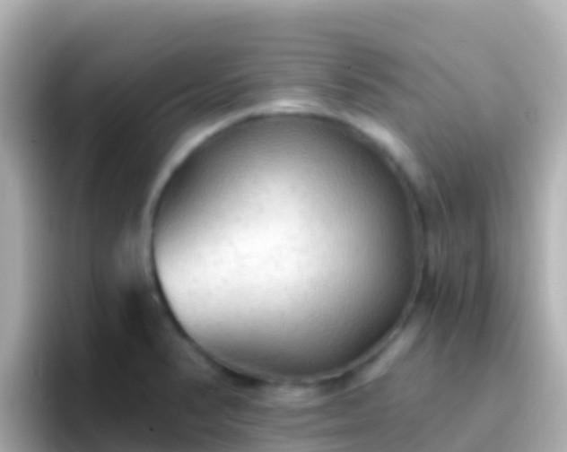 X0000096691374200802121223