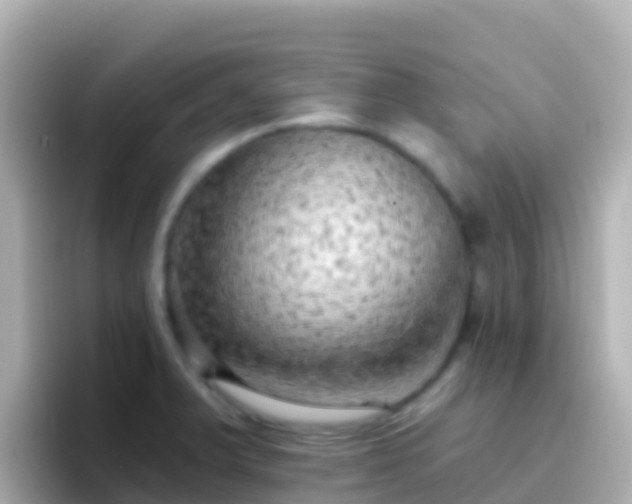 X0000096691375200802121223