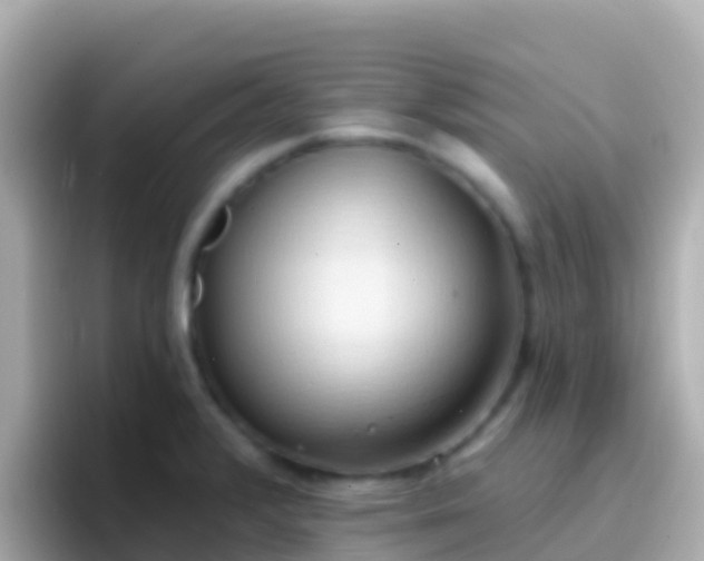 X0000096691376200802121223