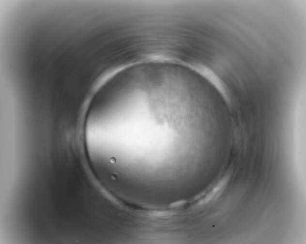 X0000096691381200802121223