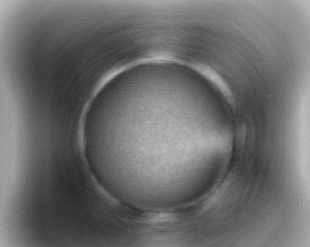 X0000096691382200802121223