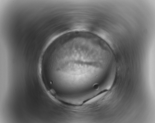 X0000096691383200802121223