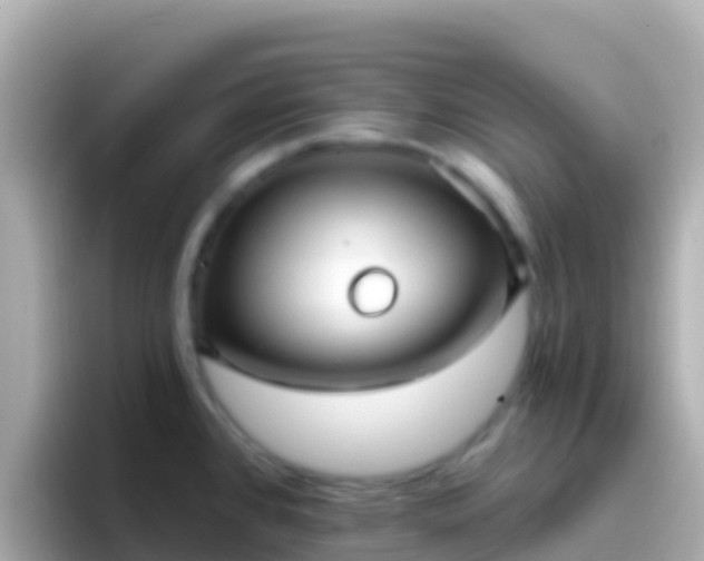 X0000096691384200802121223