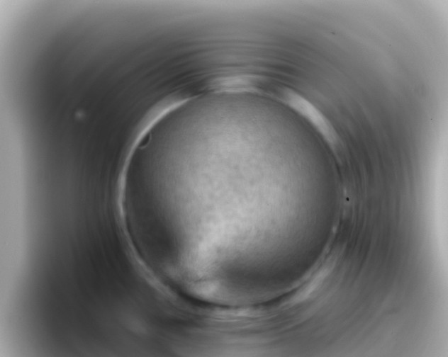 X0000096691386200802121223