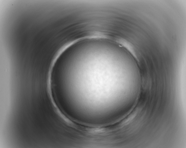 X0000096691387200802121223