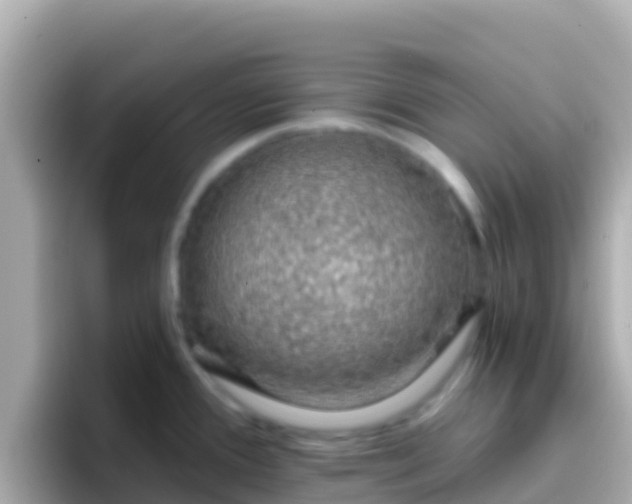 X0000096691388200802121223