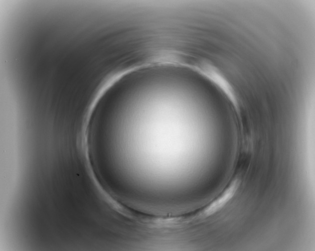 X0000096691389200802121223