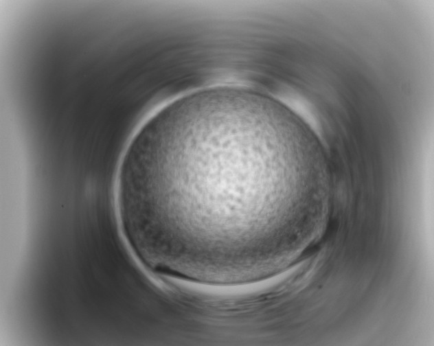 X0000096691391200802121223