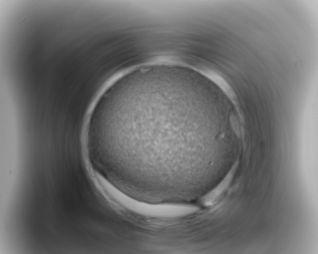 X0000096691392200802121223