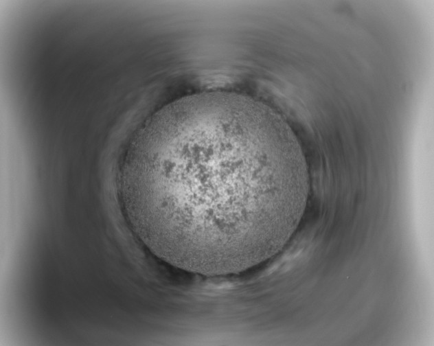 X0000096691393200802121222