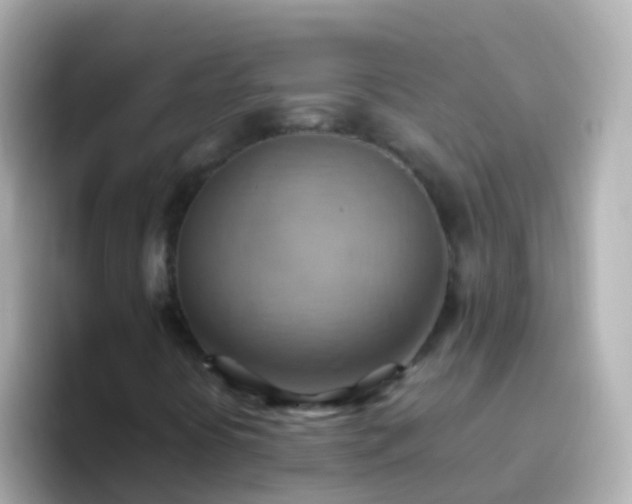 X0000096691394200802121222