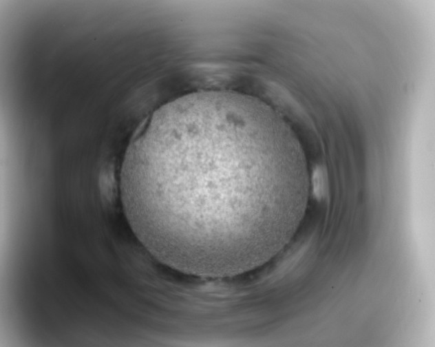 X0000096691395200802121222