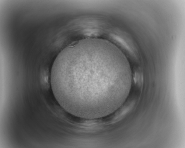 X0000096691396200802121222