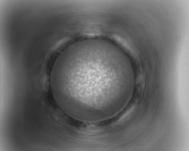 X0000096691398200802121222