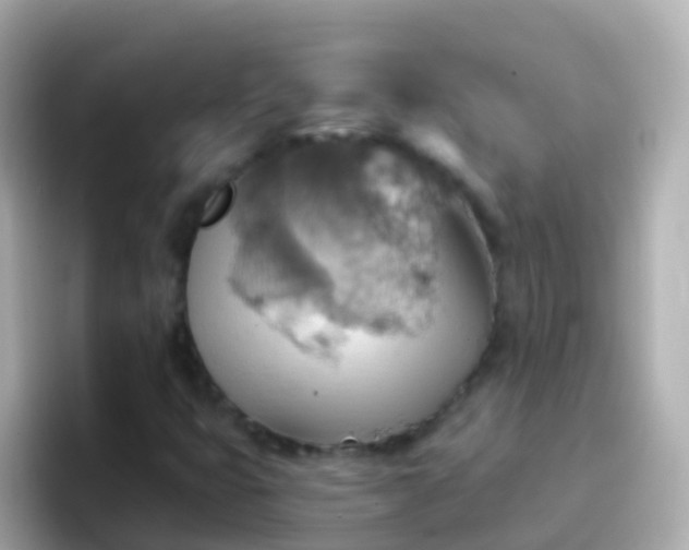 X0000096691399200802121222