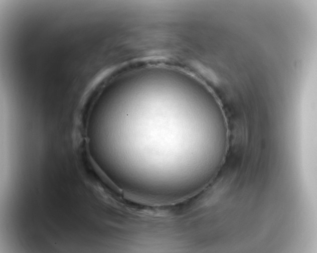 X0000096691400200802121222